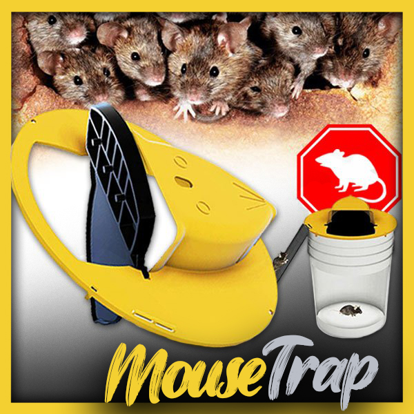 Mousetrap – Past na myši a krysy