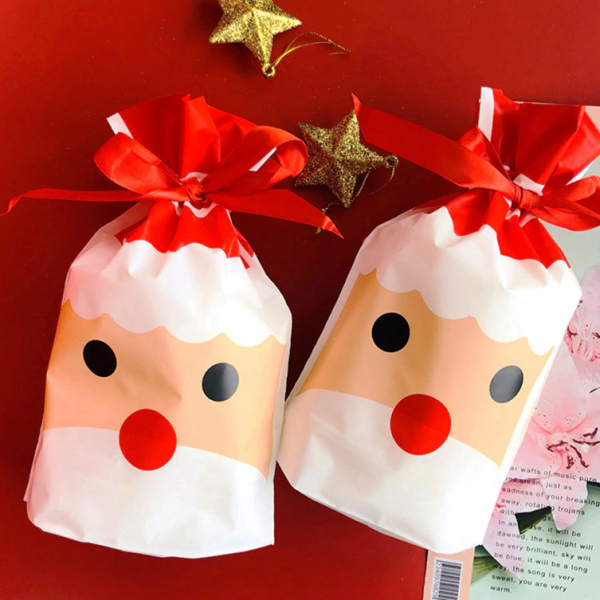 CHRISTMAS BAGS – Vánoční dárkové tašky (5 kusů) 03