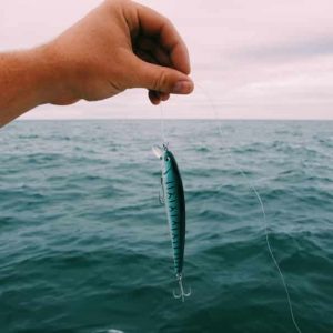 PROFESIONÁLNÍ NÁSTRAHA NA RYBY PRO KAŽDÉHO RYBÁŘE 03