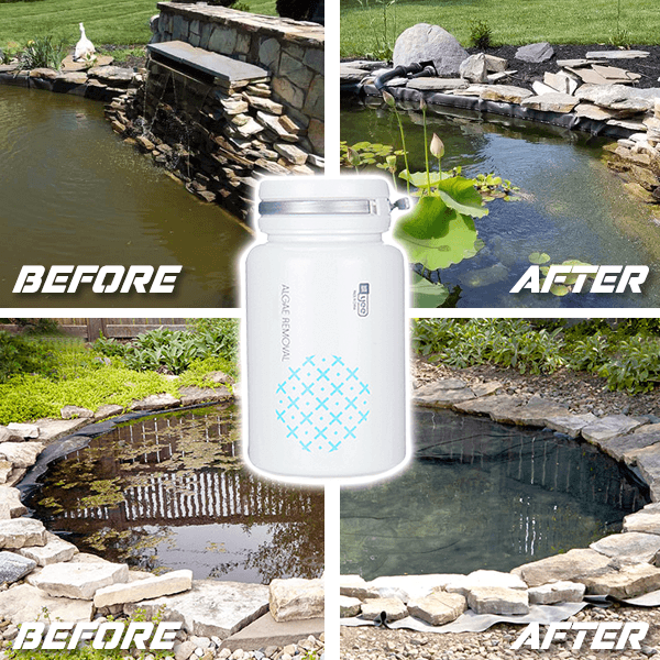 Natural Water Cleaner – Bioprípravky proti řasám (1+1 GRATIS) slider